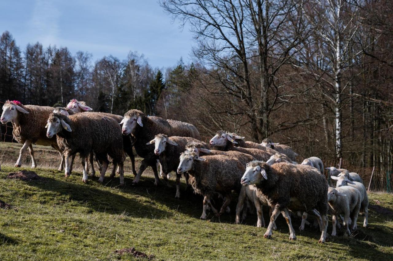 Ferienhaeuser Zur Schaeferei Mitwitz Exteriér fotografie