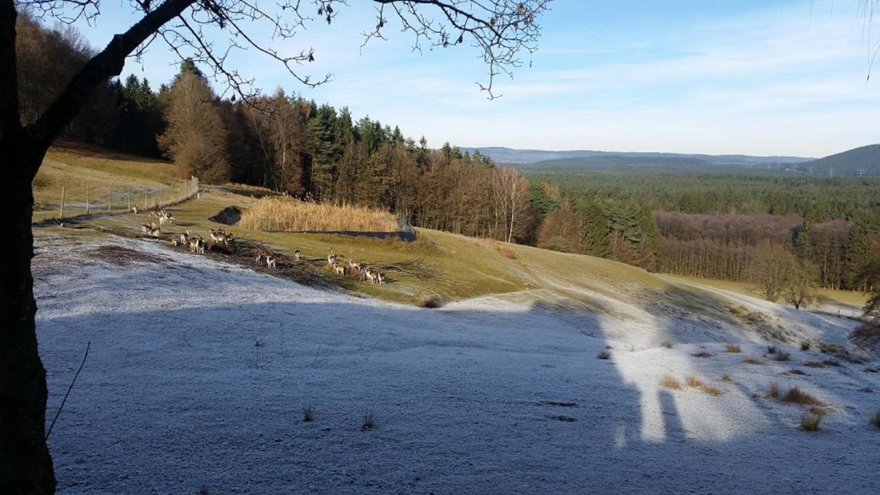 Ferienhaeuser Zur Schaeferei Mitwitz Exteriér fotografie