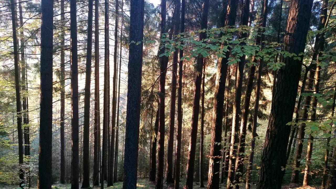 Ferienhaeuser Zur Schaeferei Mitwitz Exteriér fotografie