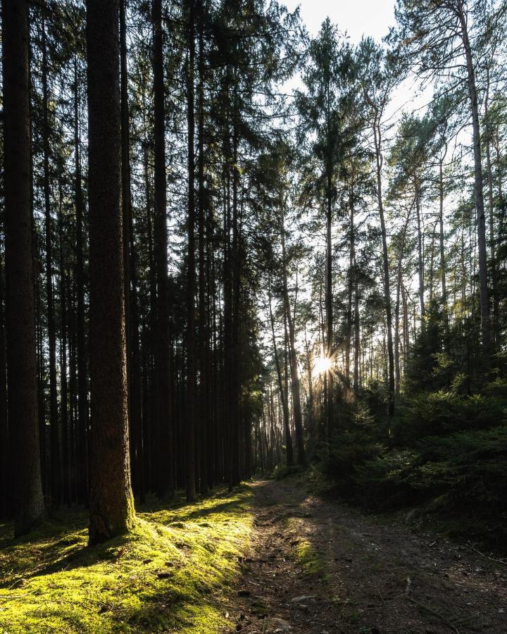 Ferienhaeuser Zur Schaeferei Mitwitz Exteriér fotografie